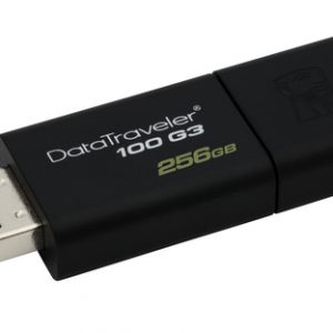 Kingston 256GB USB 3.0 DataTraveler 100 G3 130MB/